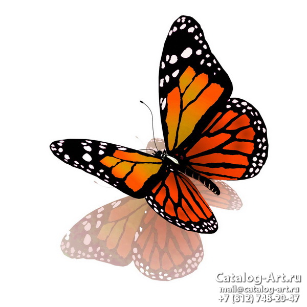  Butterflies 97